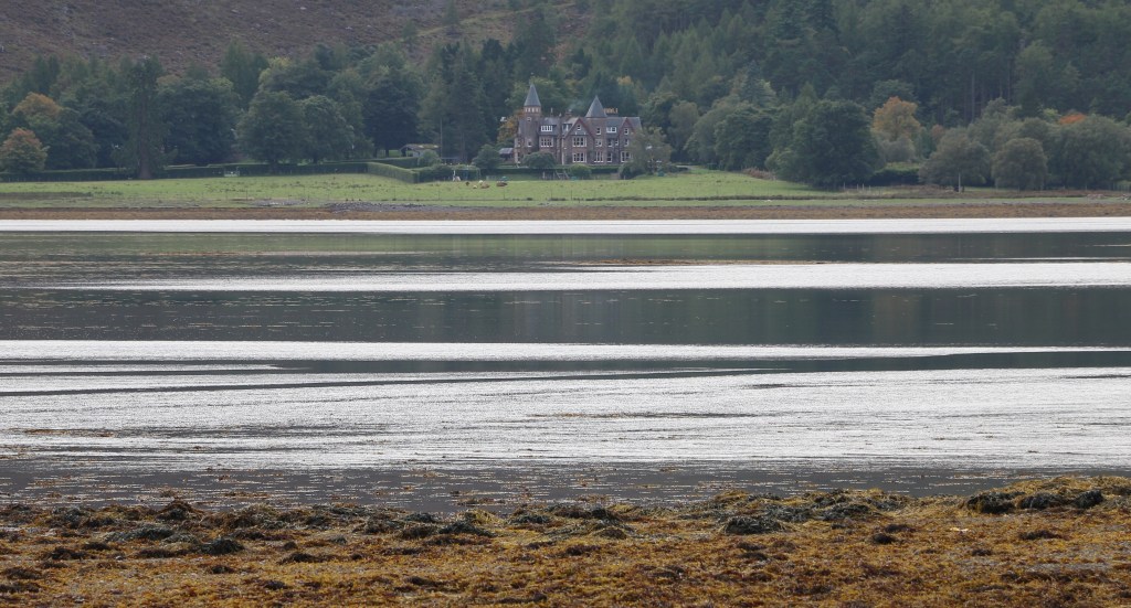 This image has an empty alt attribute; its file name is img_6147.jpg